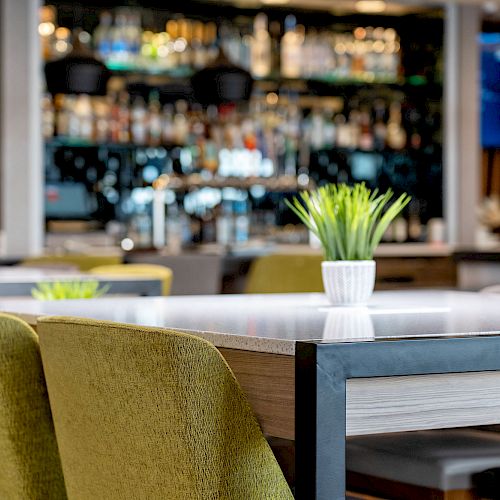 A modern bar with green chairs, small potted plants on tables, and a blurred background of shelves with bottles and a TV screen.