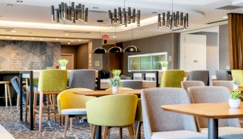 The image shows a modern, well-lit dining area with various chairs, tables, potted plants, and contemporary light fixtures.